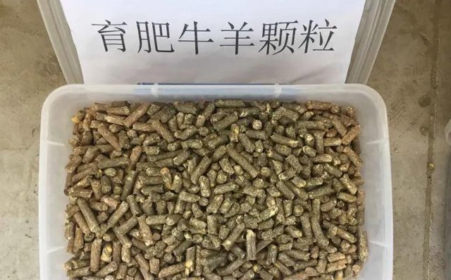 育肥牛羊顆粒